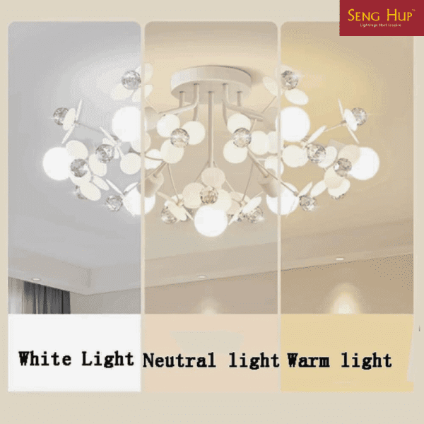 Pendant Light SP02CDP002NC - Image 3